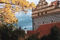 čechová-b