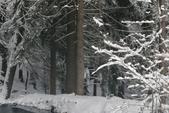 šlajch-6.A