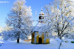 Svojanovský-Pavel-6C-Borovice-náves
