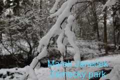 janeček-7.a